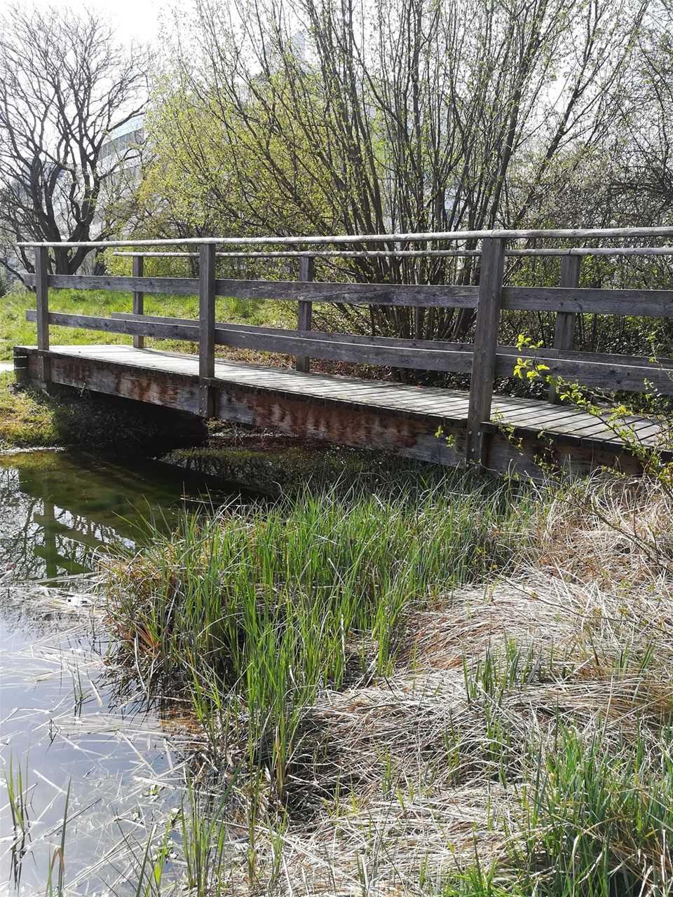 Nackte weiber beim joggen